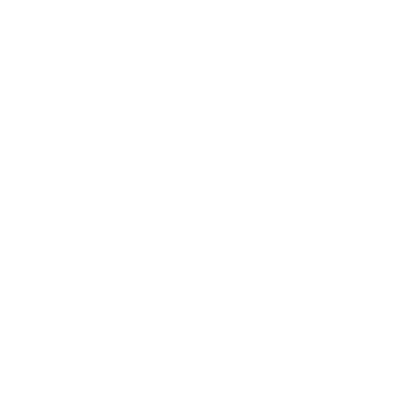 Fontanet Group