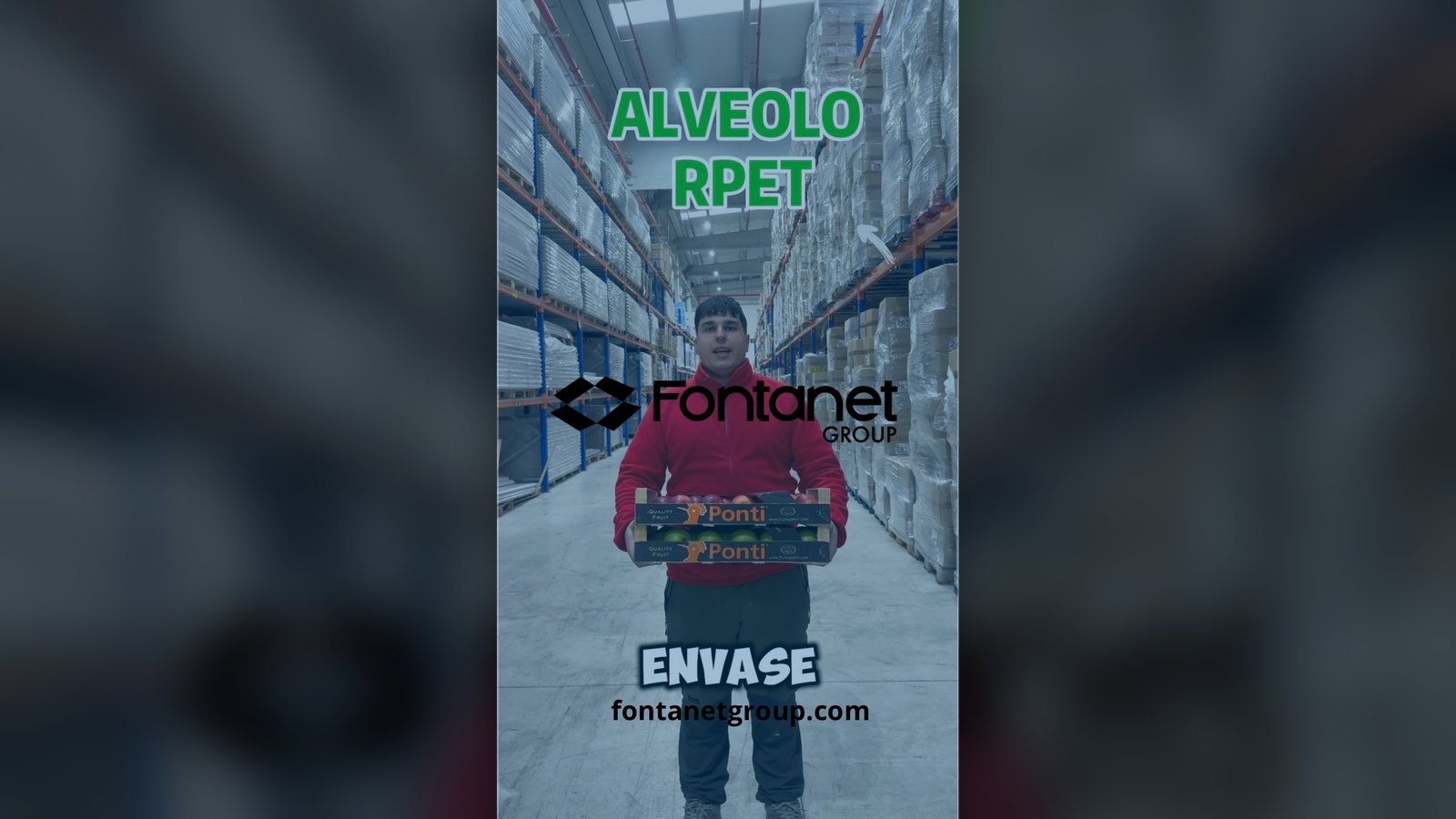 R-PET fruit tray at the Fontanet Group warehouse in Fraga