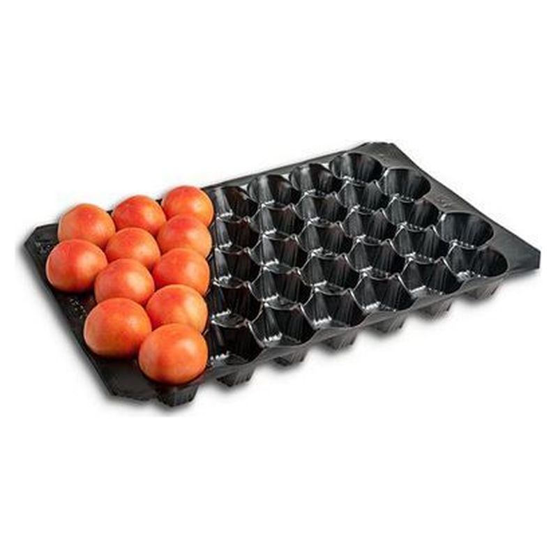 Alvéolo preto de formato 40x60 com tomates em parte das cavidades