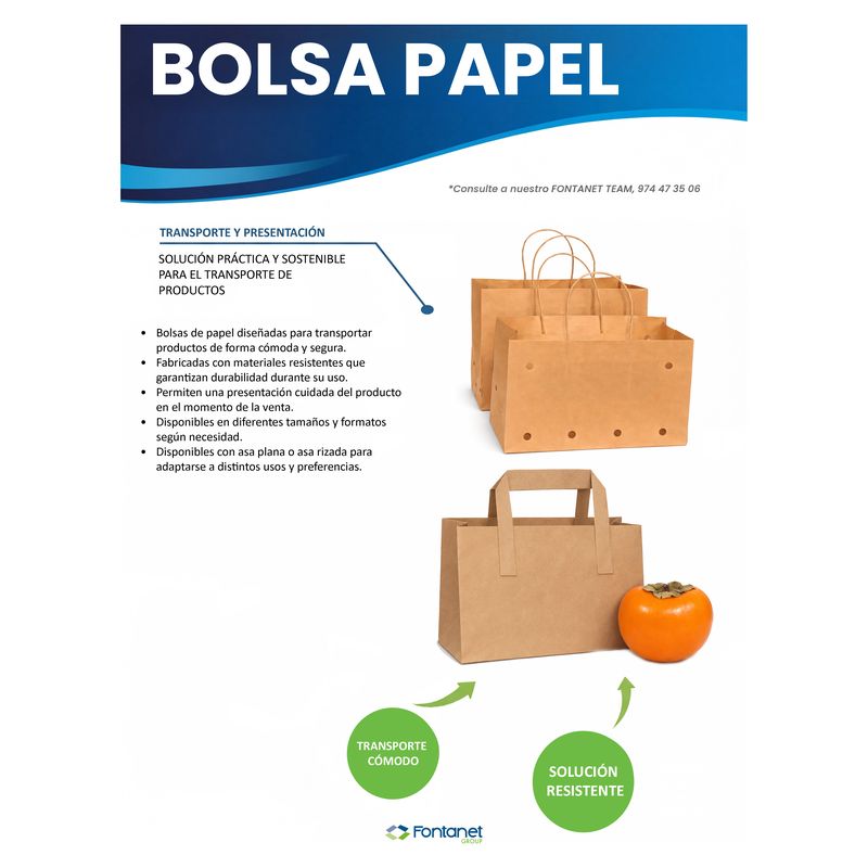 Scheda di catalogo di sacchetti di carta kraft con manico ritorto e fori e un sacchetto con manico piatto accanto a un cachi