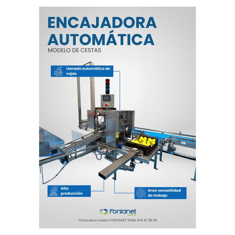 Encaixotadora automática em aço inoxidável com transportadores e uma caixa de cartão cheia de fruta