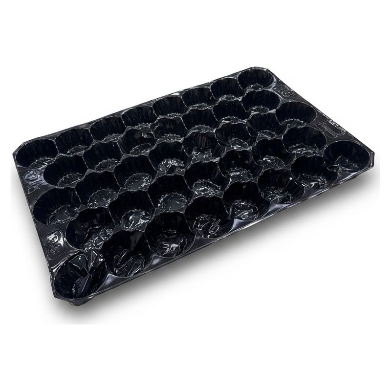 Alveolo in plastica nera con cavità rotonde per frutta, vuoto