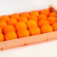 cubre malla para cajas de fruta