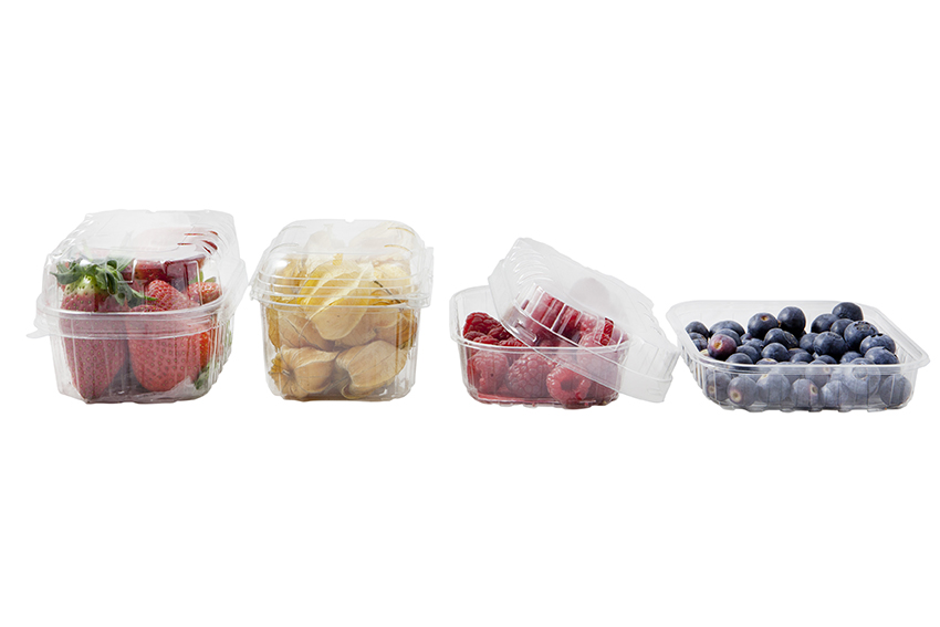 cestas de plástico para frutas y verduras
