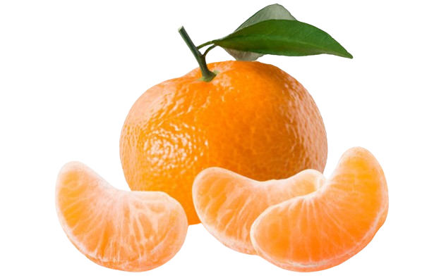 Cosecha, beneficios y curiosidades de las mandarinas